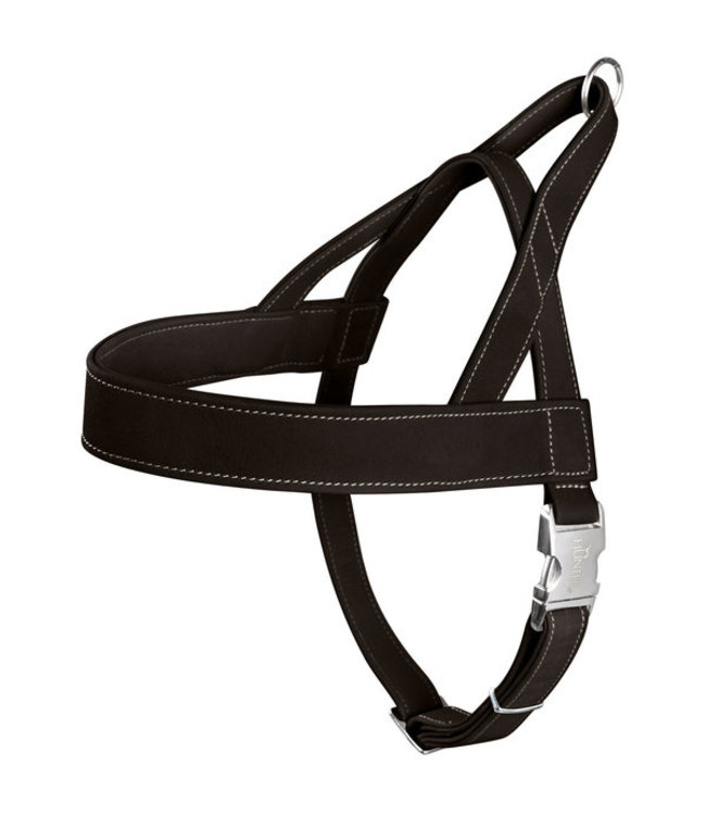 Noorwegense Hunting - Zwart