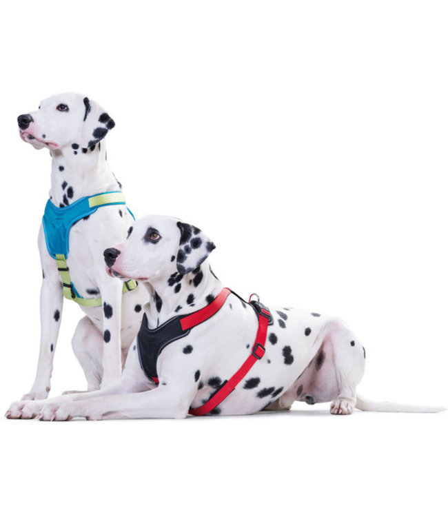 Harnas Neopren - Grijs