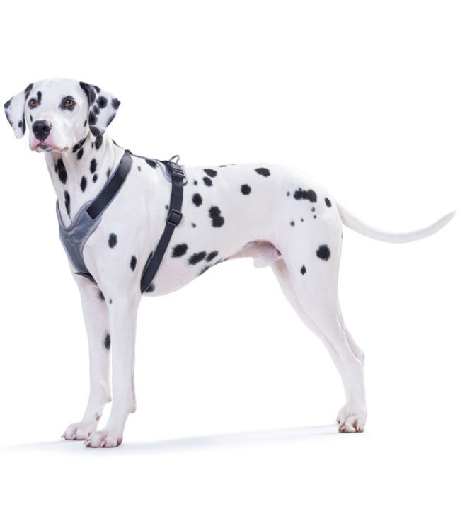 Harnas Neopren - Blauw