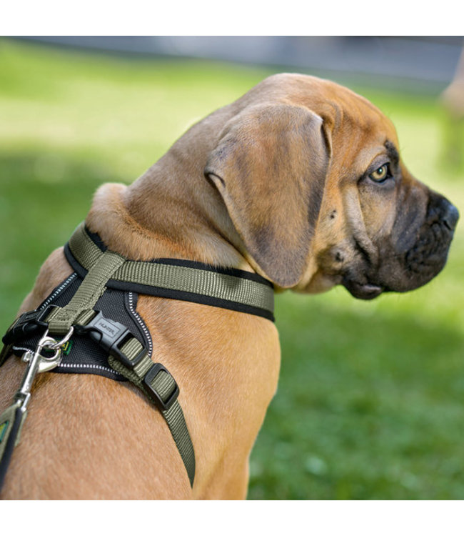 Harnas Neopren - Olijfgroen