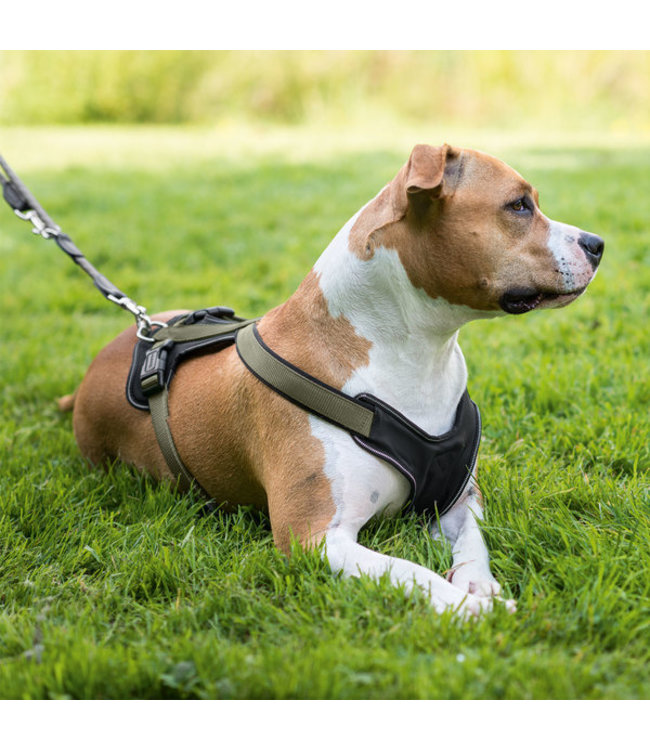 Harnas Neopren - Olijfgroen