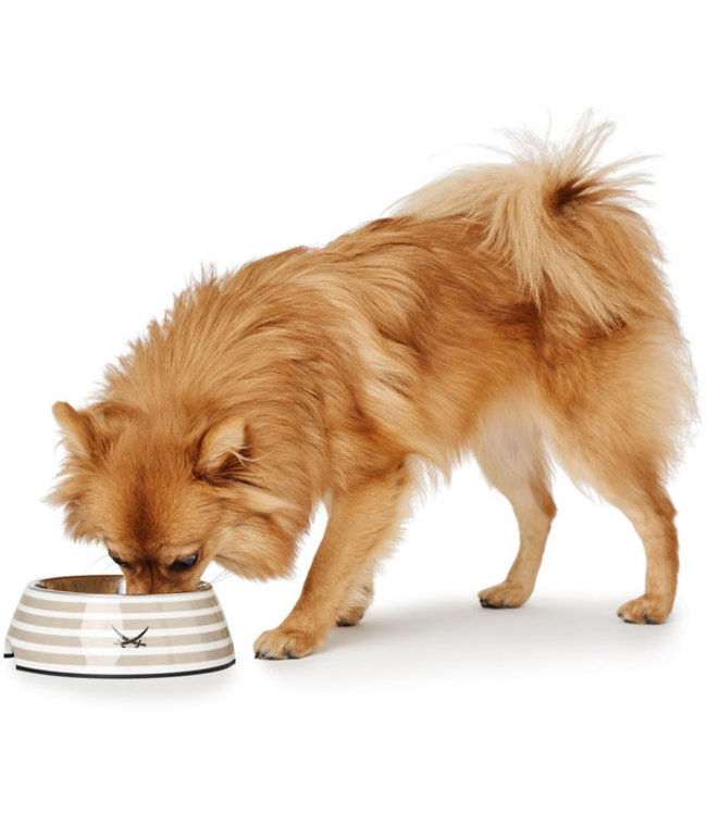 Hunter Hondenkom Sansibar gestreept - Grijs