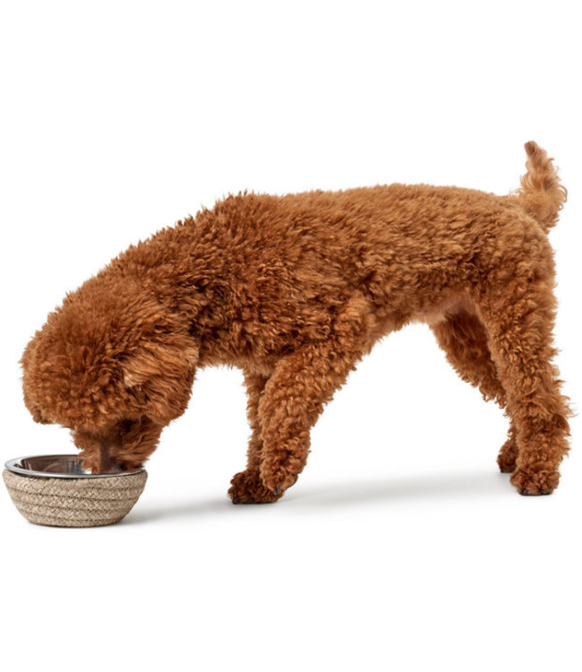 Hunter Hondenkom Graz Natuur