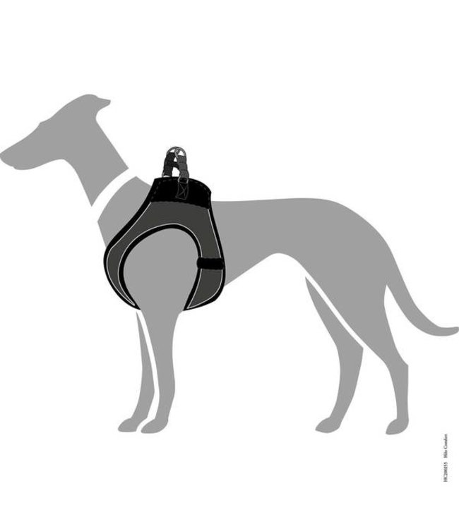 Harnas Hilo Comfort Antraciet