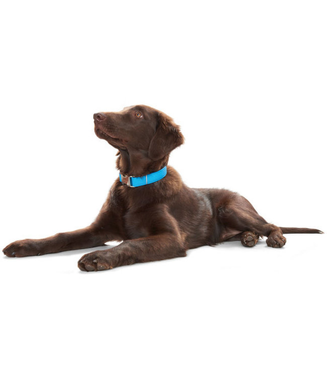 Halsband Capri Alu-Strong Petrol