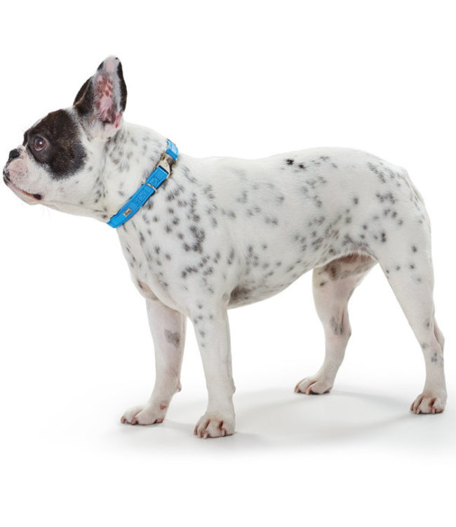 Halsband Capri Alu-Strong Petrol