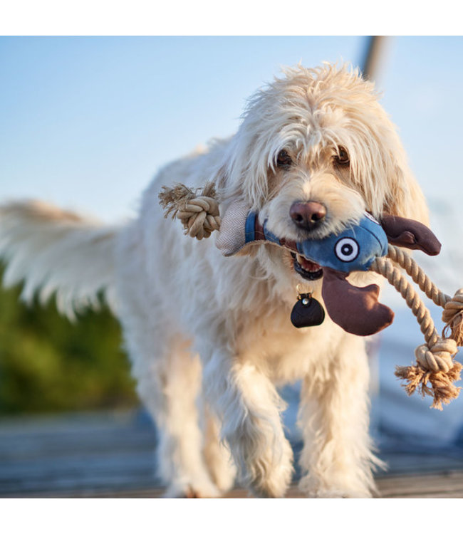 Kreeft Canvas Sansibar Rantum