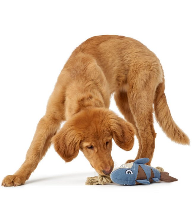 Haai Canvas Sansibar rantum