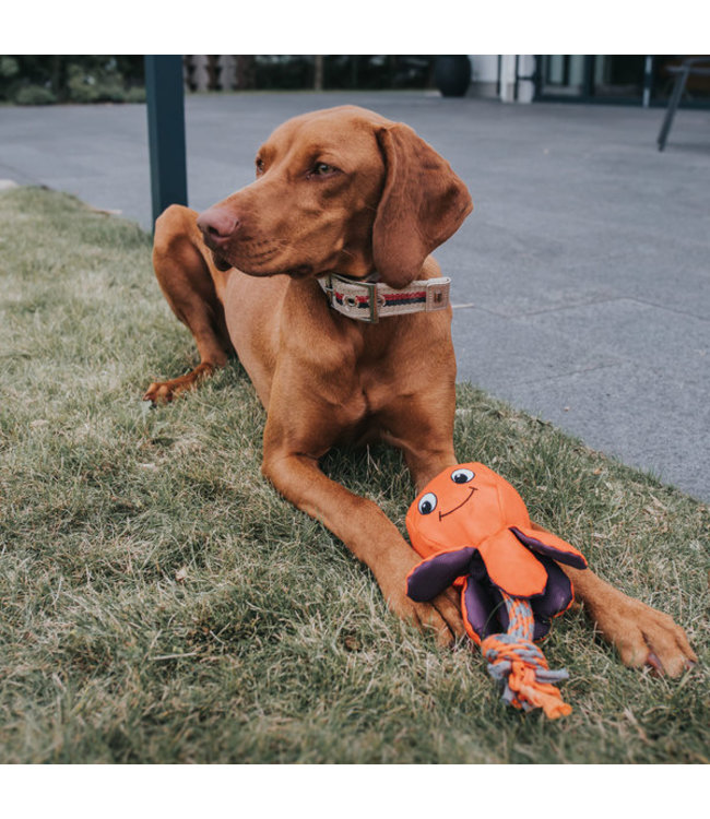 Waterdicht speelgoed Octopus Swimming Palu