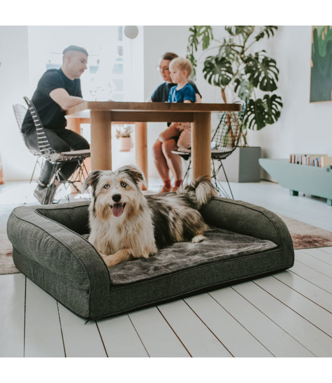 orthopedische hondenbank Livingston