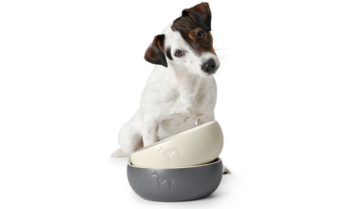 Voer- en drinkbakken