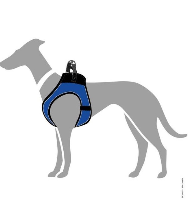 Harnas Hilo Comfort Blauw