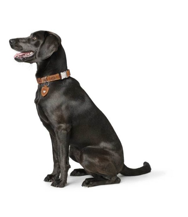 Halsband Tara Alu Strong - Cognac