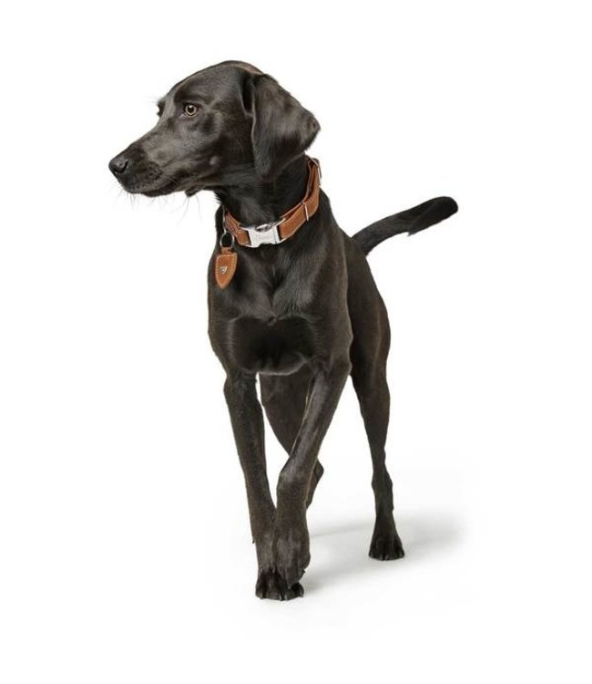 Halsband Tara Alu Strong - Cognac