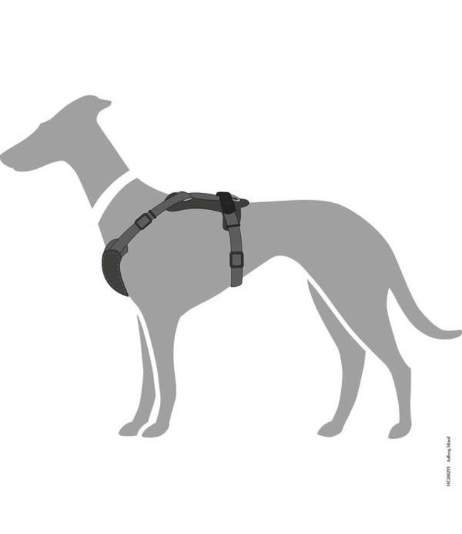 Harnas Aalborg Mixed - Zwart