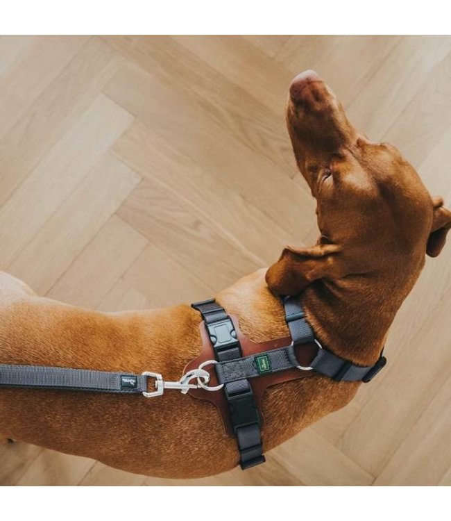 Harnas Aalborg Mixed - Cognac