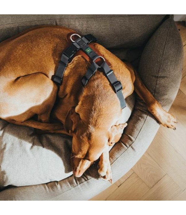 Harnas Aalborg Mixed - Cognac