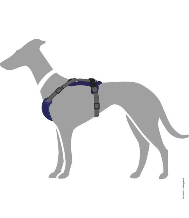 Harnas Aalborg Mixed - Blauw