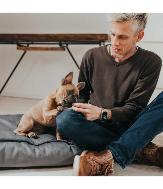 Orthopedische hondenkussen Merida