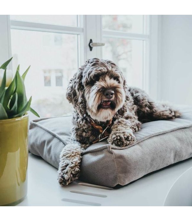 Orthopedische hondenkussen Merida