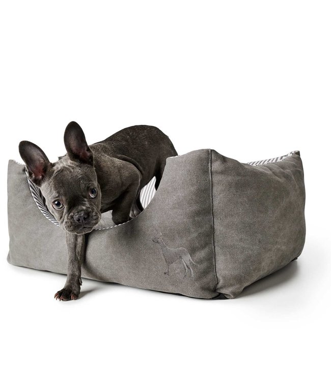 Hunter hondenmand Palma