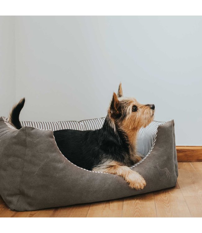 Hunter hondenmand Palma