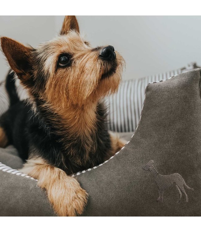 Hunter hondenmand Palma