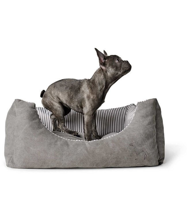 Hunter hondenmand Palma