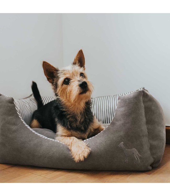 Hunter hondenmand Palma