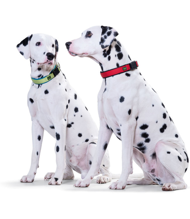 Halsband Neopren Vario Plus - Rood