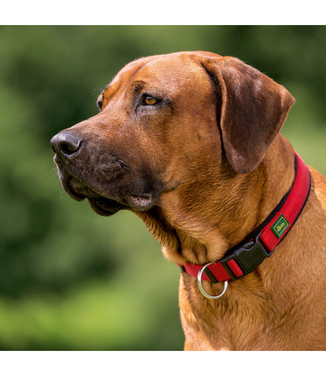 Halsband Neopren Vario Plus - Rood