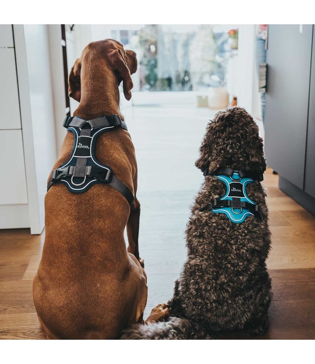 Hunter Harnas Divo - Blauw