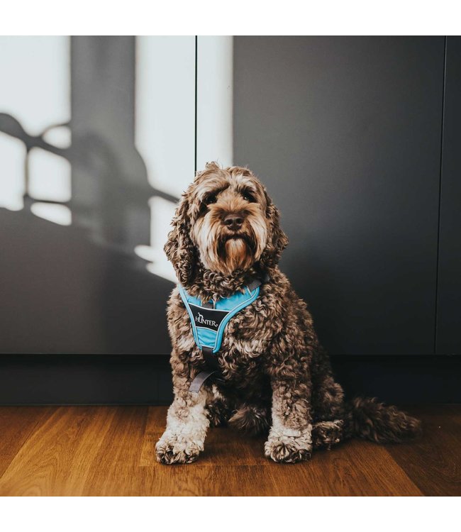 Hunter Harnas Divo - Blauw