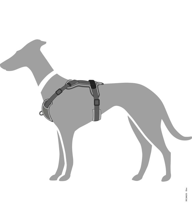 Hunter Harnas Divo - Grijs