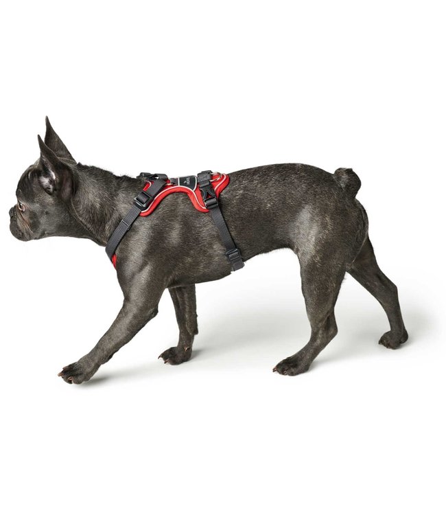 Hunter Harnas Divo - Rood