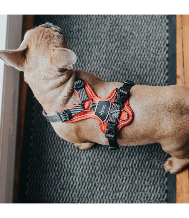 Hunter Harnas Divo - Rood