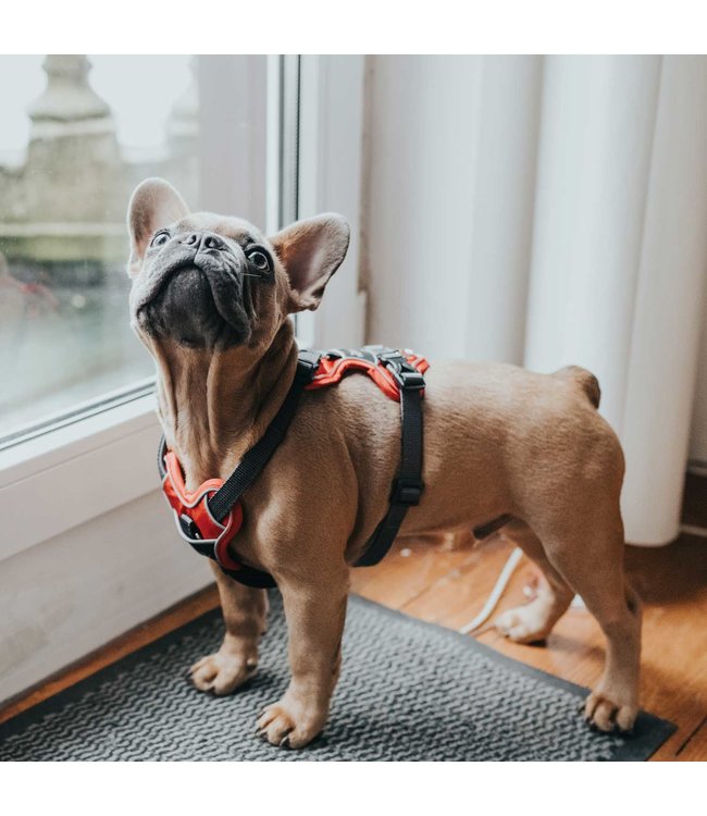 Hunter Harnas Divo - Rood