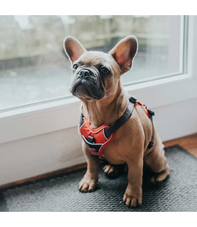 Hunter Harnas Divo - Rood