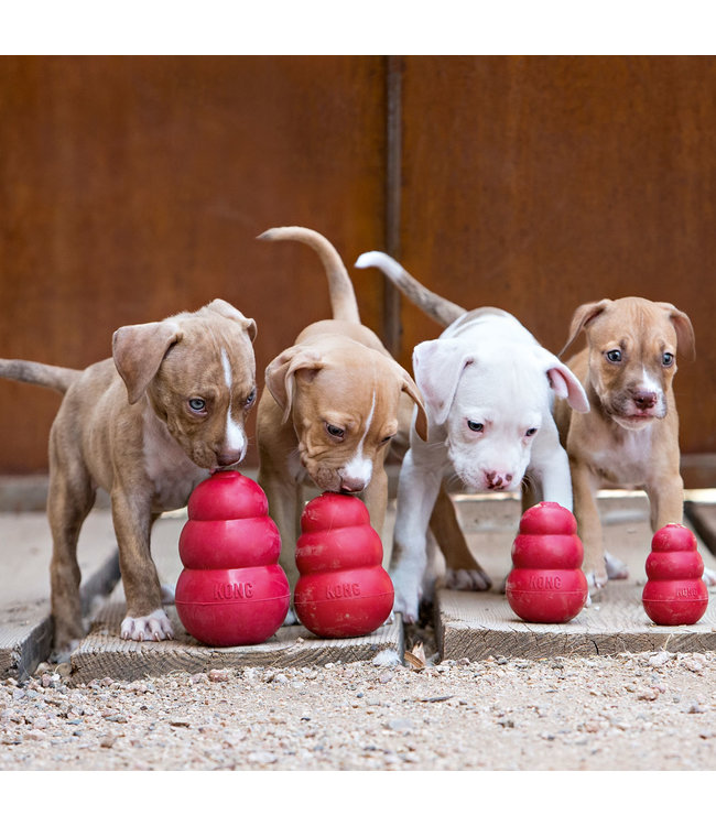 KONG® Classic