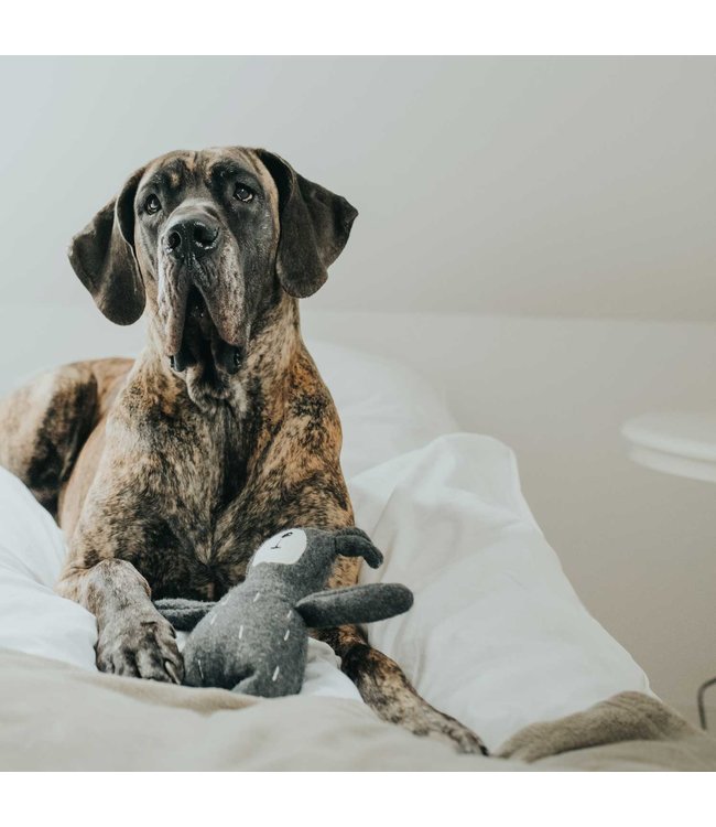 Hondenknuffel Tirana Beer