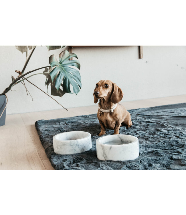 Hondenkom Marmer - Wit