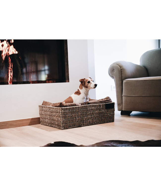 Hondenmand Basket