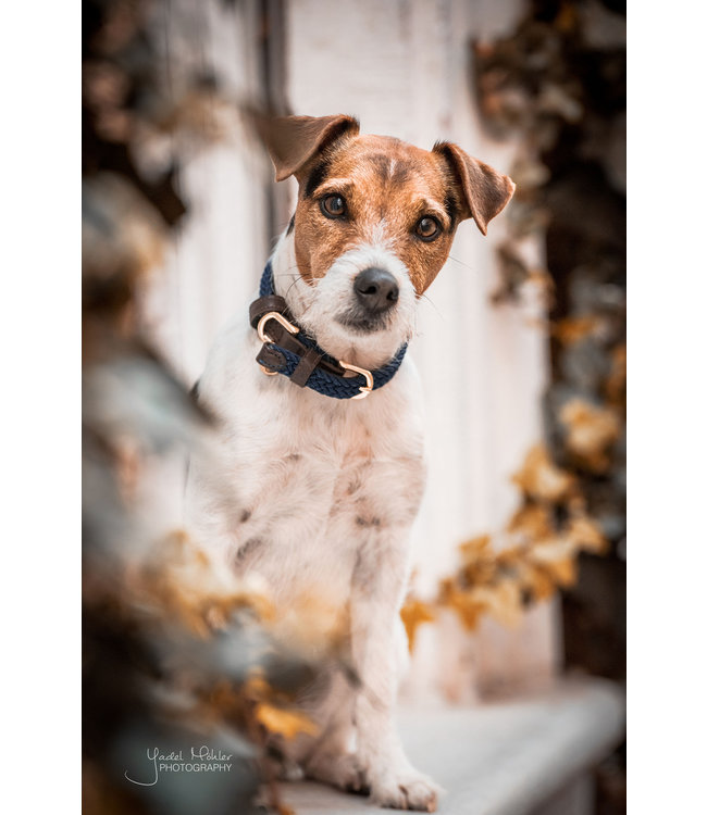 Halsband Gevlochten Nylon - Navy