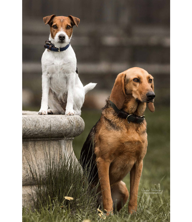 Halsband Gevlochten Nylon - Navy