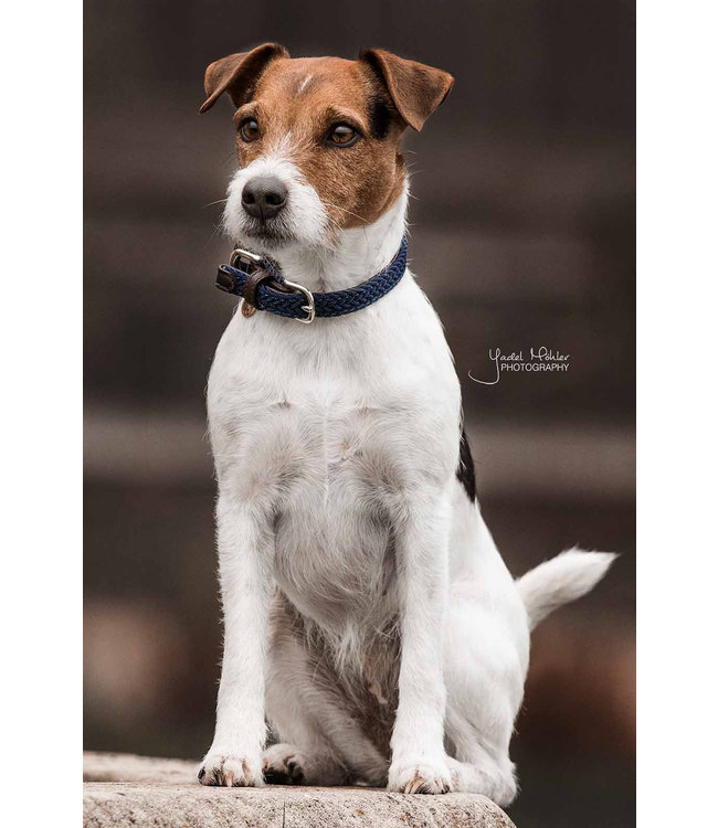 Halsband Gevlochten Nylon - Navy