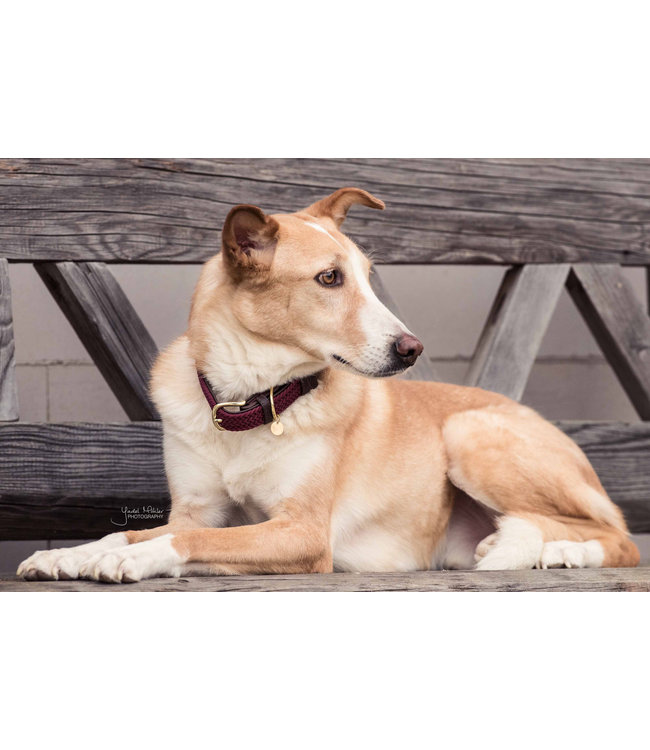 Halsband Gevlochten Nylon - Bordeaux