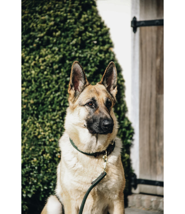 Halsband Gevlochten Nylon - Olijf