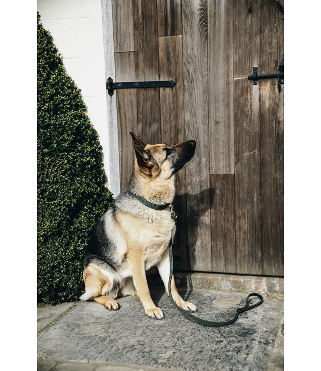 Halsband Gevlochten Nylon - Olijf