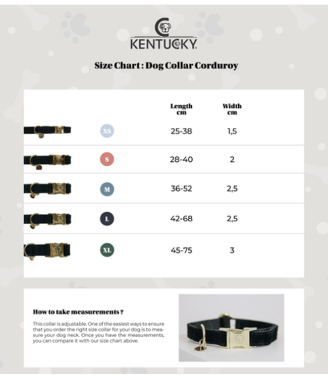 Halsband Corduroy - Bruin