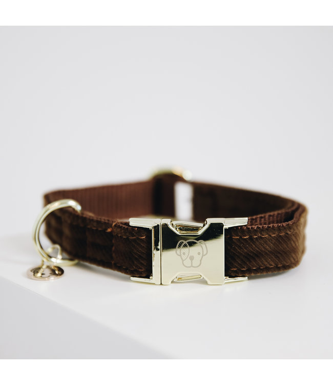 Halsband Corduroy - Bruin